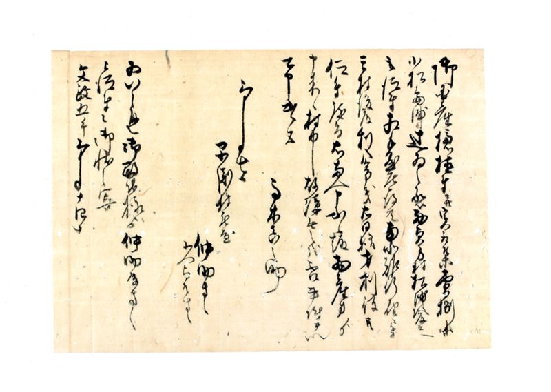 乍恐奉願上覚（御国産櫨植付並実取集売捌等)他 - ページ 7