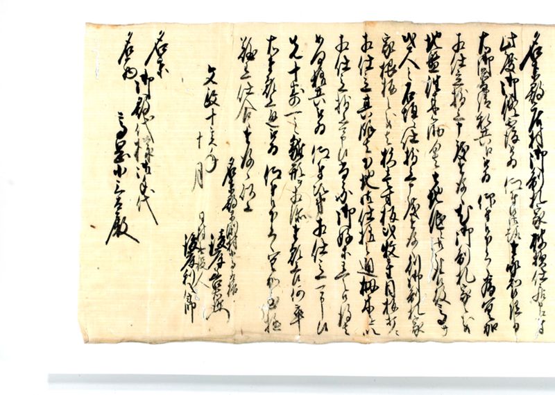諸御願書控(後藤氏壱番） - ページ 237