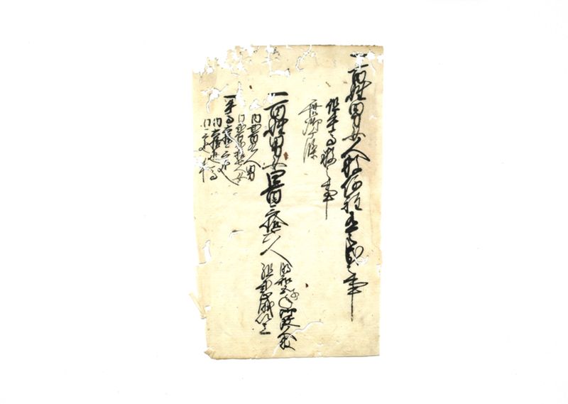 御ヶ条ヲ以被仰附株々申上帳（早渕村控） - ページ 10