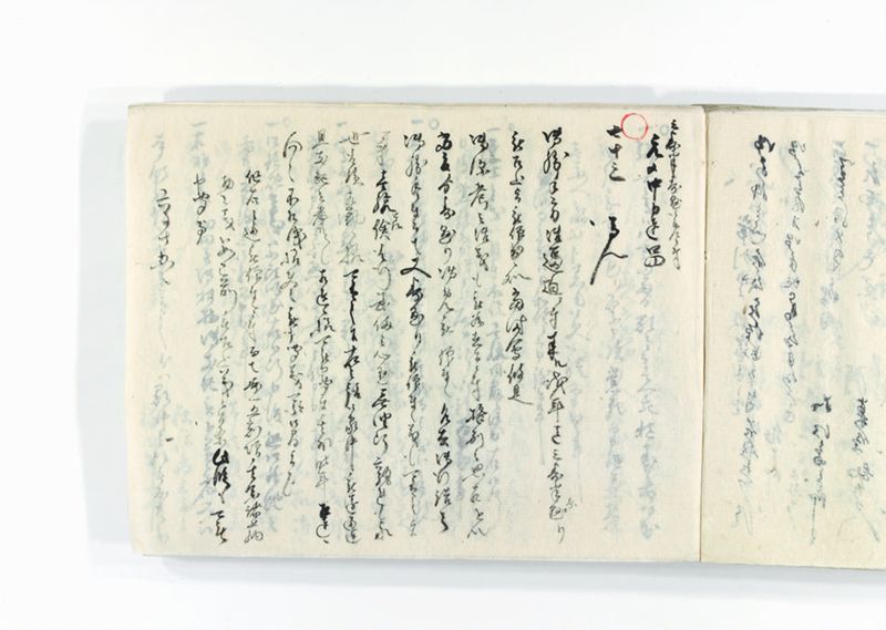 諸御趣意書并御下知向之写 - ページ 243