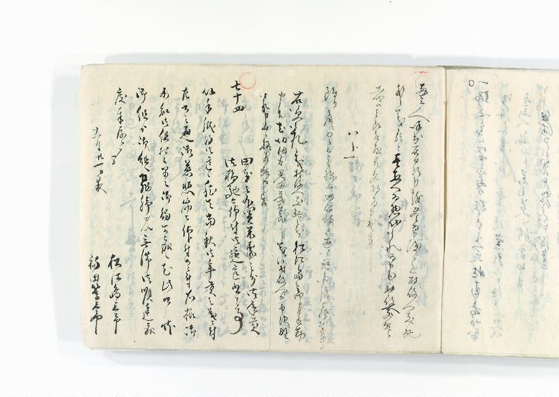 諸御趣意書并御下知向之写 - ページ 245