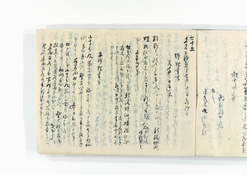 諸御趣意書并御下知向之写 - ページ 247
