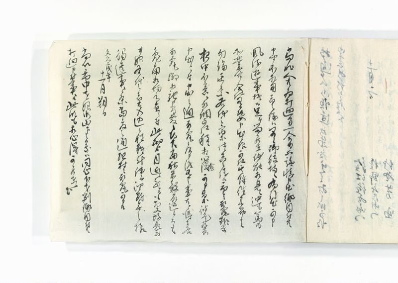 諸御趣意書并御下知向之写 - ページ 251