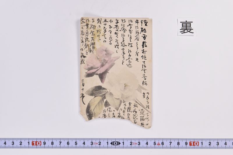 〔書簡〕 - ページ 3