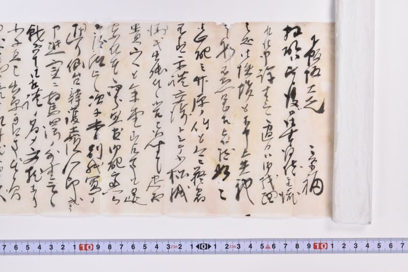 〔書簡〕|〔書簡〕 - ページ 4