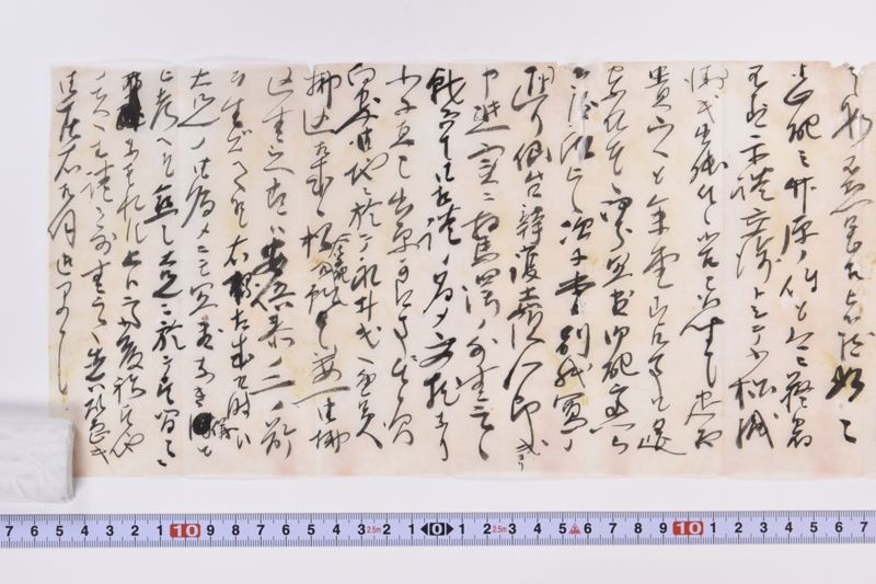 〔書簡〕|〔書簡〕 - ページ 5
