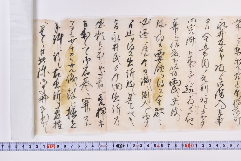 〔書簡〕|〔書簡〕 - ページ 7