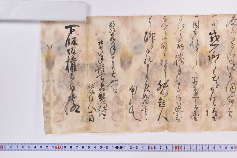 〔書簡〕 - ページ 5