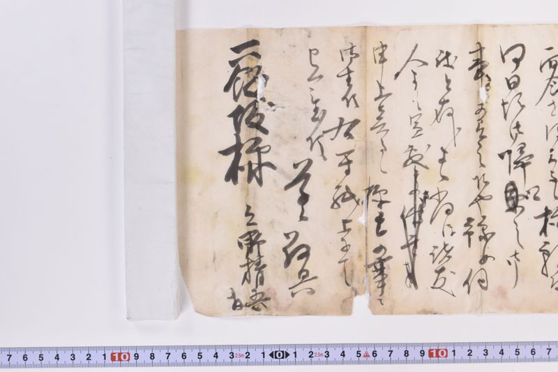 〔書簡〕 - ページ 5