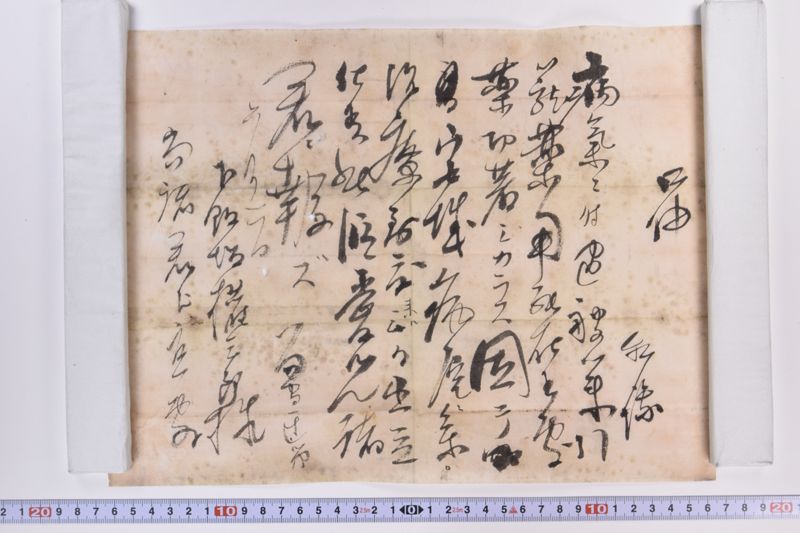 〔書簡〕|〔書簡〕|〔書簡〕 - ページ 8