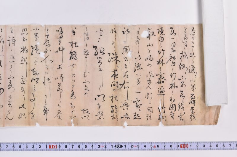 〔書簡〕|〔書簡〕|〔書簡〕|〔書簡〕|〔書簡〕|〔書簡〕 - ページ 2