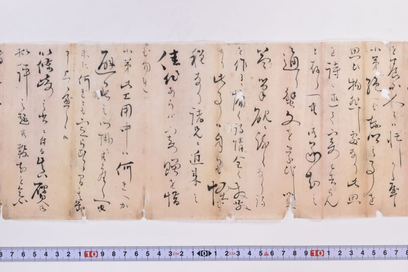 〔書簡〕|〔書簡〕|〔書簡〕|〔書簡〕|〔書簡〕|〔書簡〕 - ページ 3