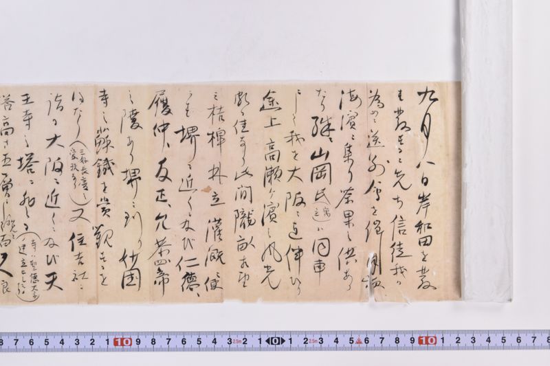 〔書簡〕|〔書簡〕|〔書簡〕|〔書簡〕|〔書簡〕|〔書簡〕 - ページ 7