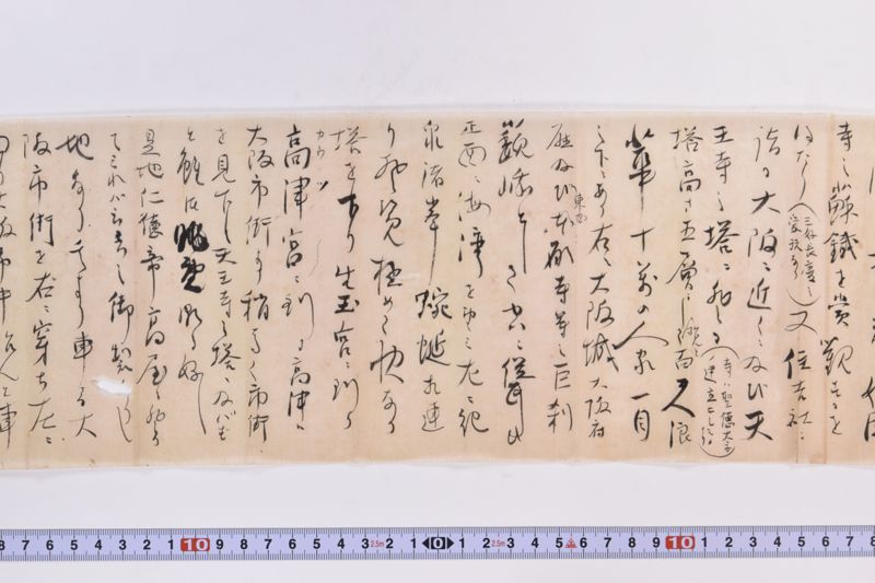 〔書簡〕|〔書簡〕|〔書簡〕|〔書簡〕|〔書簡〕|〔書簡〕 - ページ 8
