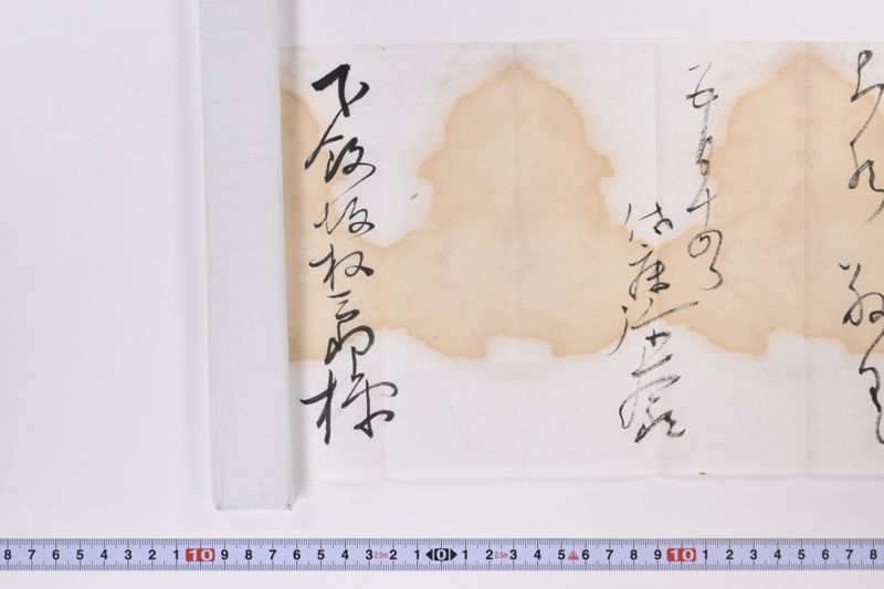 〔書簡〕 - ページ 8