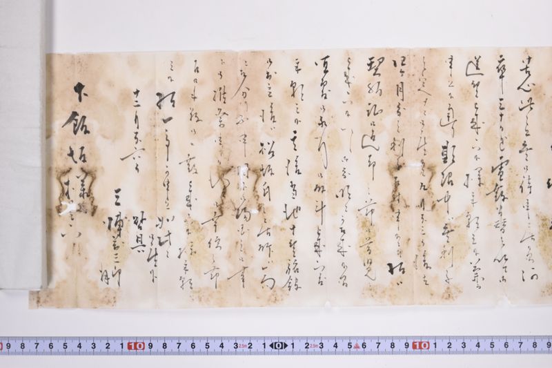 〔書簡〕 - ページ 5
