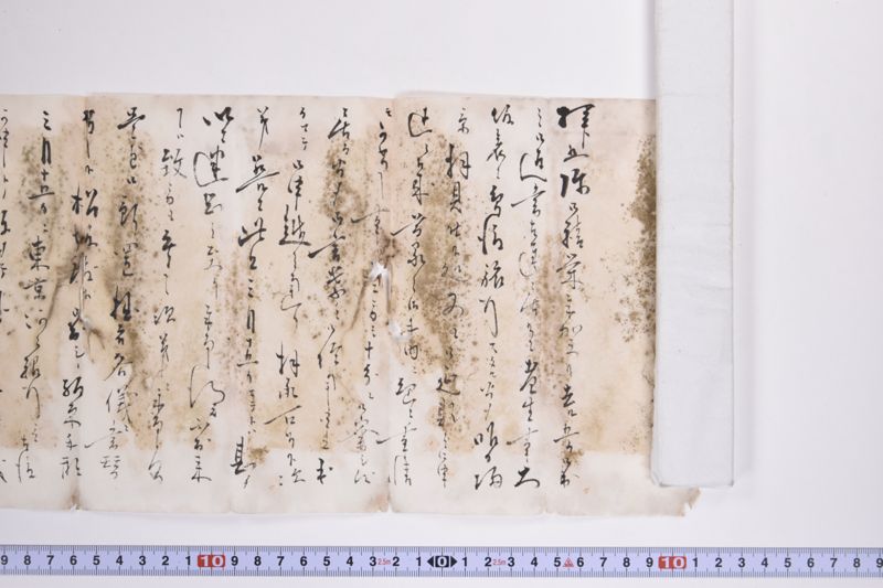 〔書簡〕|〔書簡〕|〔書簡〕 - ページ 4