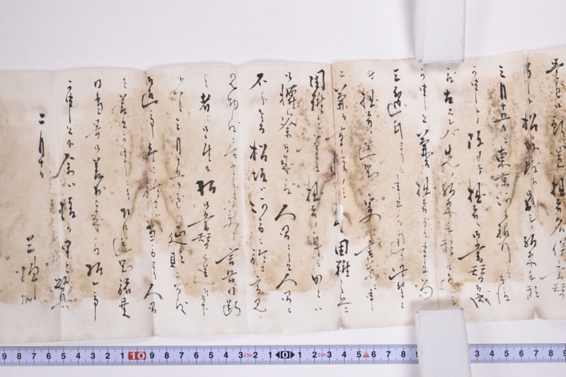 〔書簡〕|〔書簡〕|〔書簡〕 - ページ 5