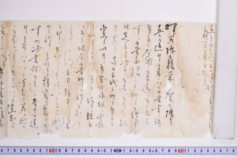 〔書簡〕|〔書簡〕 - ページ 4