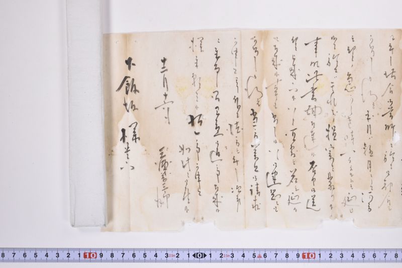 〔書簡〕|〔書簡〕 - ページ 5