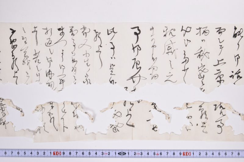 〔書簡〕 - ページ 8