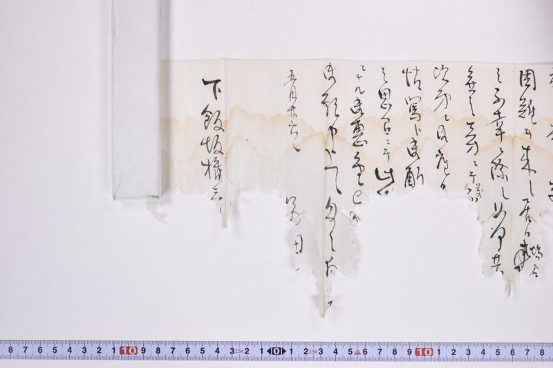 〔書簡〕 - ページ 5