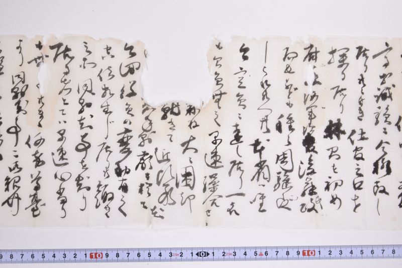 〔書簡〕|〔書簡〕 - ページ 8