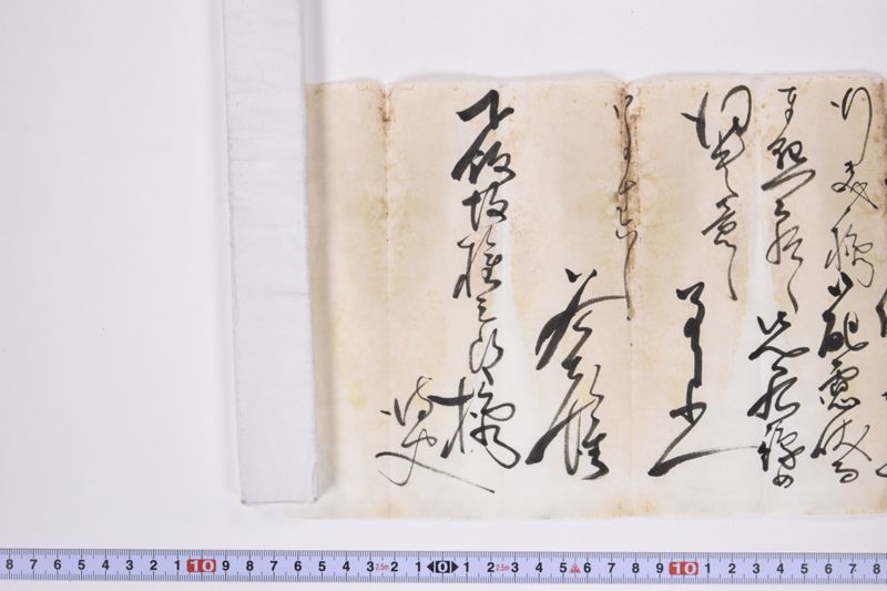 〔書簡〕 - ページ 8