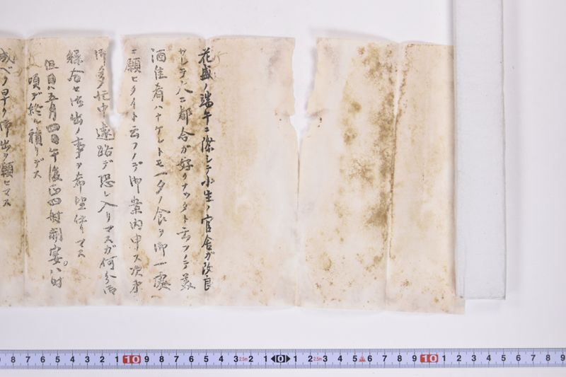 〔書簡〕 - ページ 4