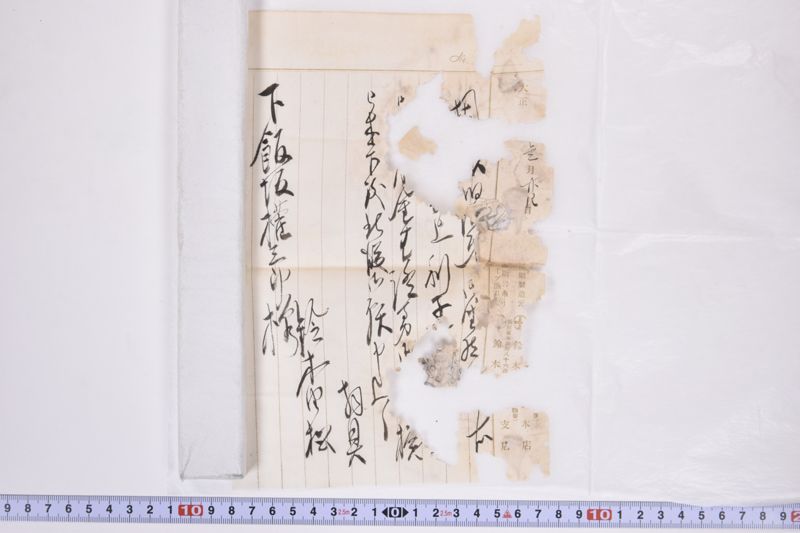 〔書簡〕 - ページ 5