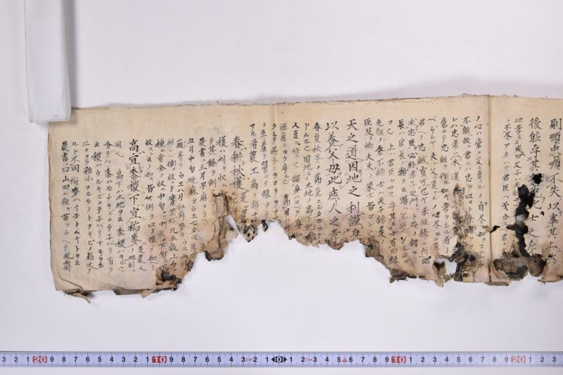 〔写本〕 - ページ 55