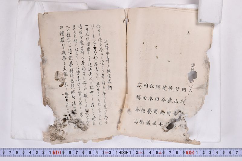 〔書籍〕 - ページ 5