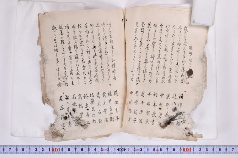 〔書籍〕 - ページ 6