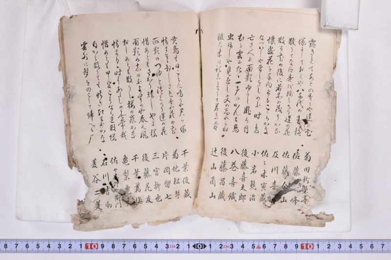 〔書籍〕 - ページ 7