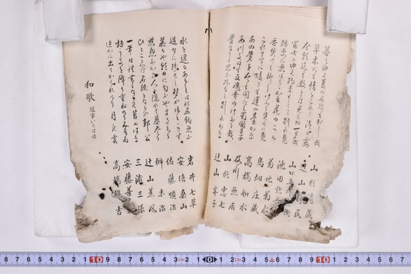 〔書籍〕 - ページ 8