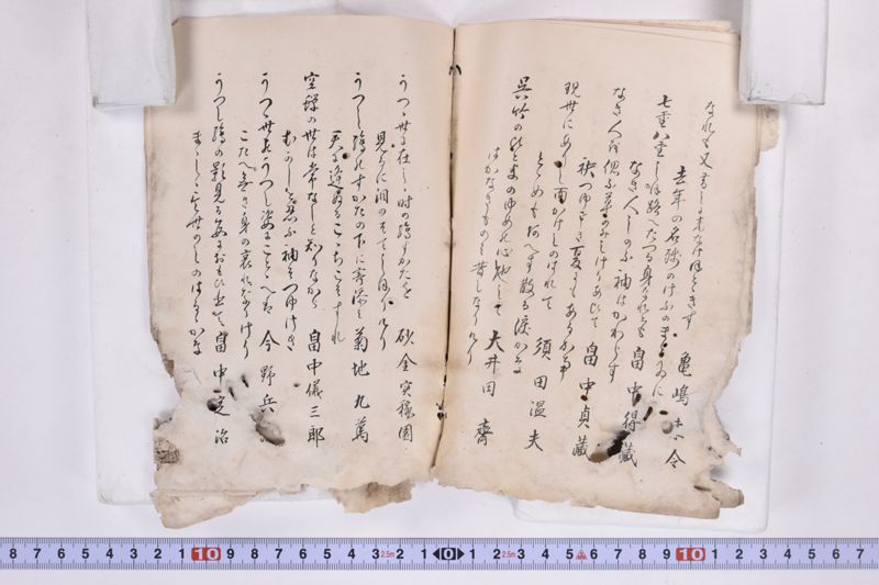 〔書籍〕 - ページ 11