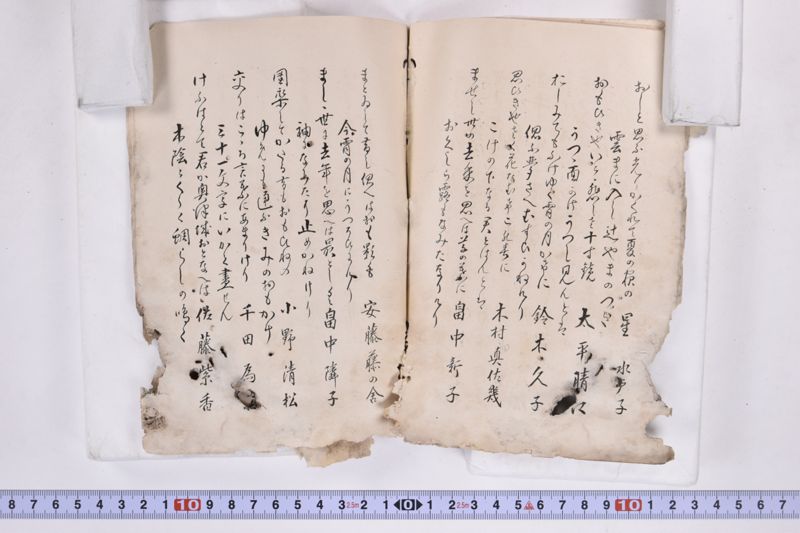 〔書籍〕 - ページ 12