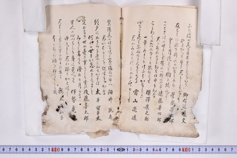 〔書籍〕 - ページ 13
