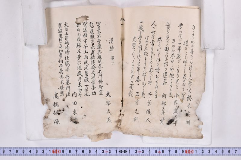 〔書籍〕 - ページ 14