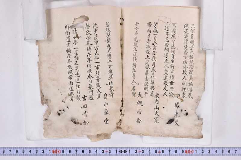〔書籍〕 - ページ 15