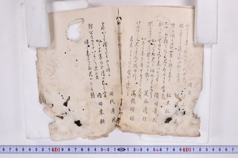 〔書籍〕 - ページ 16