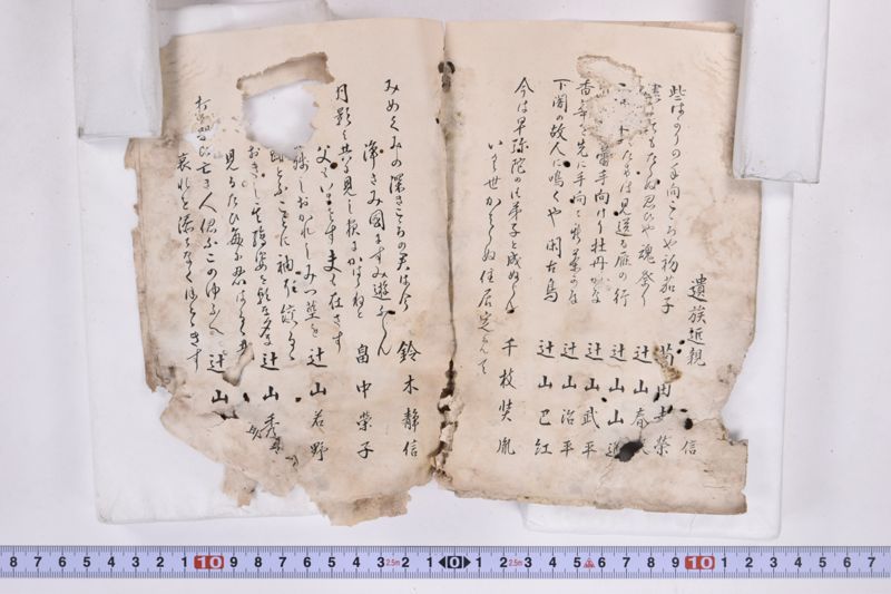 〔書籍〕 - ページ 17