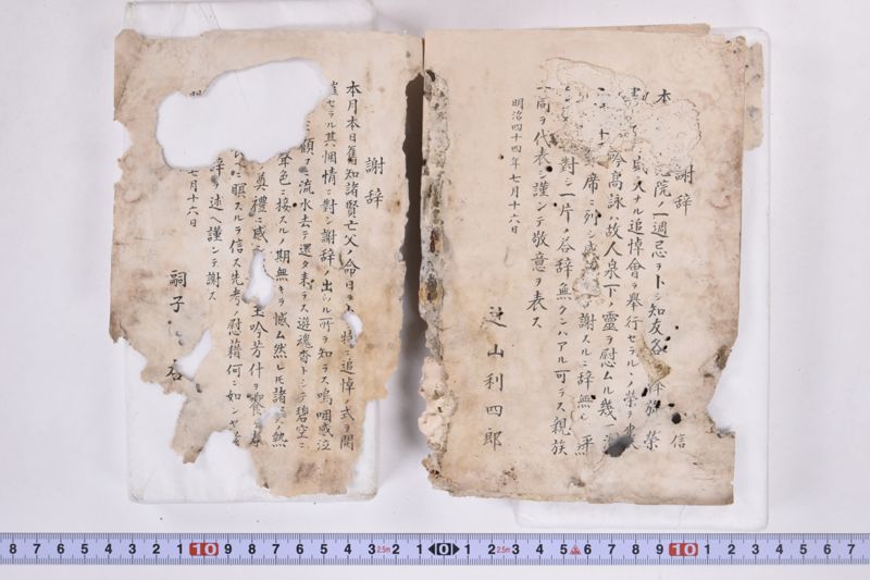 〔書籍〕 - ページ 19