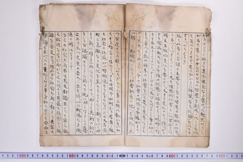 英国の社会主義 - ページ 6