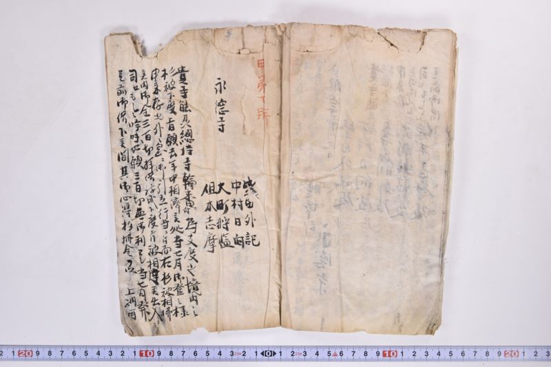 〔書類〕 - ページ 13