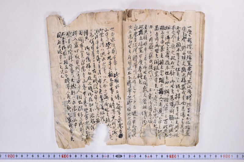〔書類〕 - ページ 20