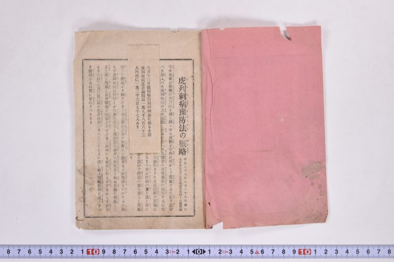 虎列刺予防法並保険之効用|岩手県通常会議日誌　自第壱六号至第廿壱号　下巻 - ページ 3