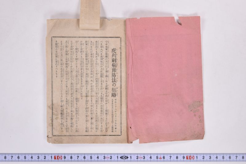 虎列刺予防法並保険之効用|岩手県通常会議日誌　自第壱六号至第廿壱号　下巻 - ページ 4