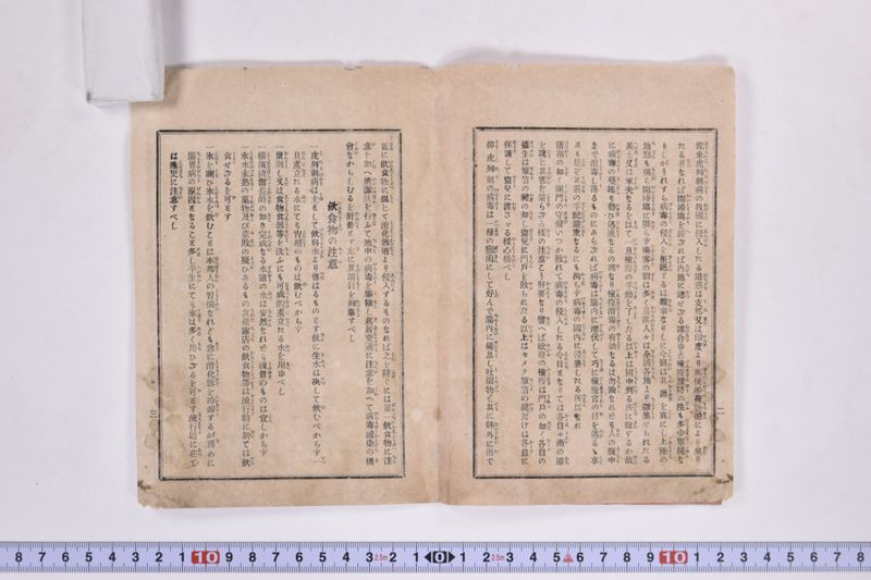 虎列刺予防法並保険之効用|岩手県通常会議日誌　自第壱六号至第廿壱号　下巻 - ページ 5
