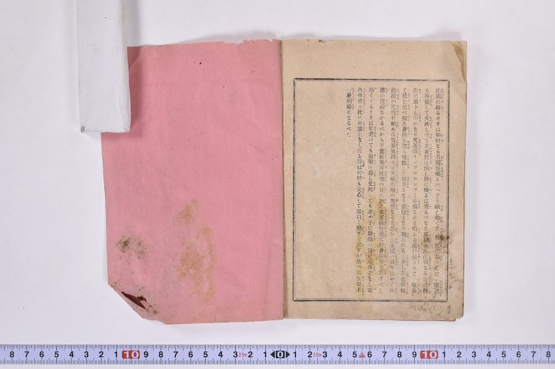 虎列刺予防法並保険之効用|岩手県通常会議日誌　自第壱六号至第廿壱号　下巻 - ページ 10